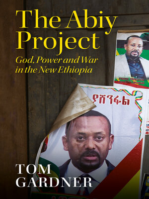 cover image of The Abiy Project